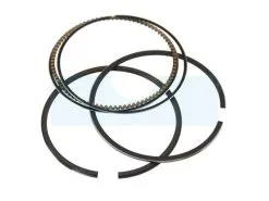 Kit Segment Pour Moteur Briggs & Stratton (791098)