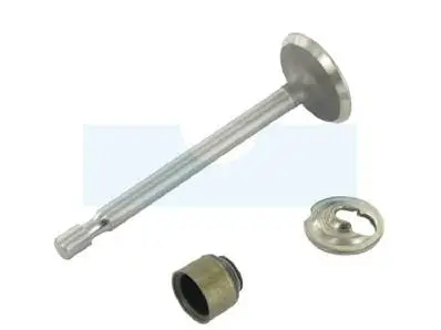 Soupape D'admission Pour Moteur Briggs & Stratton (795443) 2 Soupape D'admission Pour Moteur Briggs & Stratton (795443) – Image 2