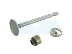 Soupape D'admission Pour Moteur Briggs & Stratton (795443)