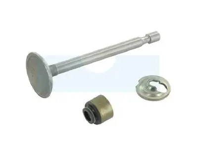 Soupape D'admission Pour Moteur Briggs & Stratton (795443) 1 Soupape D'admission Pour Moteur Briggs & Stratton (795443)