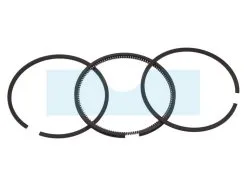 Kit Segment Pour Moteur Briggs & Stratton (493261)