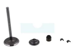 Soupape D'admission Pour Moteur Briggs & Stratton (495857)