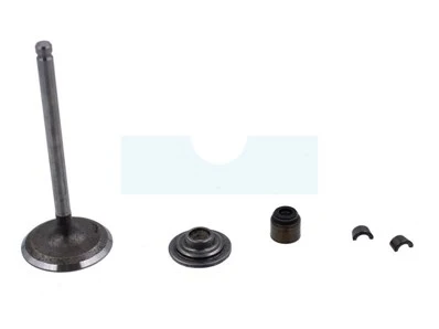 Soupape D'admission Pour Moteur Briggs & Stratton (495857) 1 Soupape D'admission Pour Moteur Briggs & Stratton (495857)
