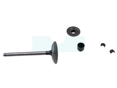 Soupape D'admission Pour Moteur Briggs & Stratton (495857) 2 Soupape D'admission Pour Moteur Briggs & Stratton (495857) – Image 2