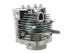 Cylindre Et Culasse Pour Moteur Honda (12100Z0A405)