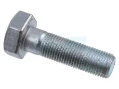 Vis De Lame Pour Tracteur Tondeuse Roques & Lecoeur (N309599008)
