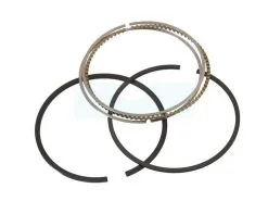 Kit Segment Pour Moteur Briggs & Stratton (795690)