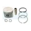 Piston Pour Moteur Bernard (000066)