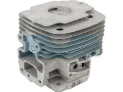 Cylindre Pour Moteur Kawasaki (110050609)