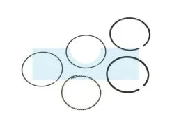 Kit Segment Pour Moteur Kawasaki (130086024)